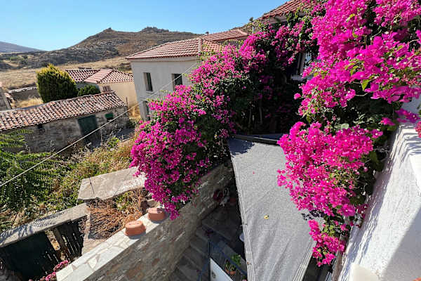 House sit in Eresós, Greece
