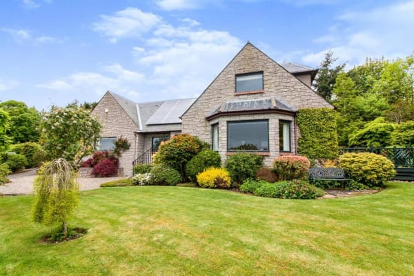 House sit in Dundee, United Kingdom