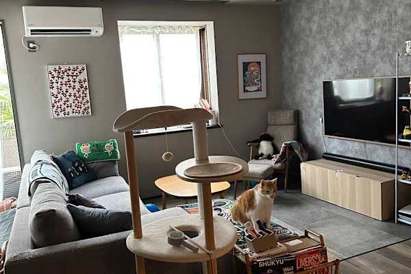 House sit in Tokyo, Japan