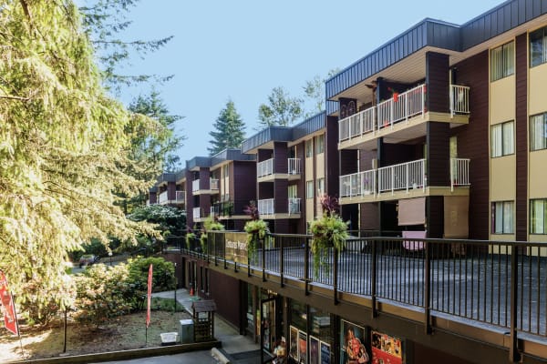 House sit in Burnaby, BC, Canada