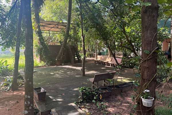 House sit in Siem Reap, Cambodia