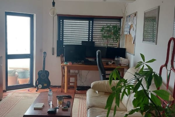 House sit in Aveiro, Portugal