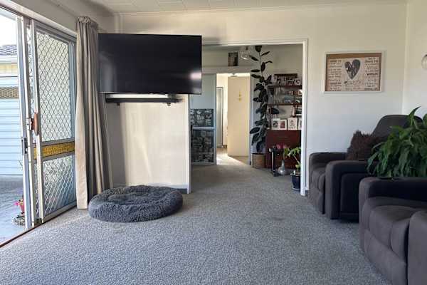 House sit in Napier, New Zealand