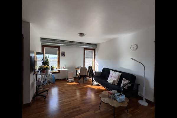 House sit in Chicago, IL, US