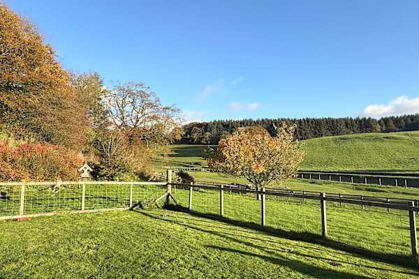 House sit in Lockerbie, United Kingdom