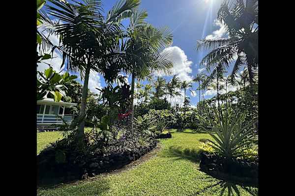 House sit in Kea‘au, HI, US