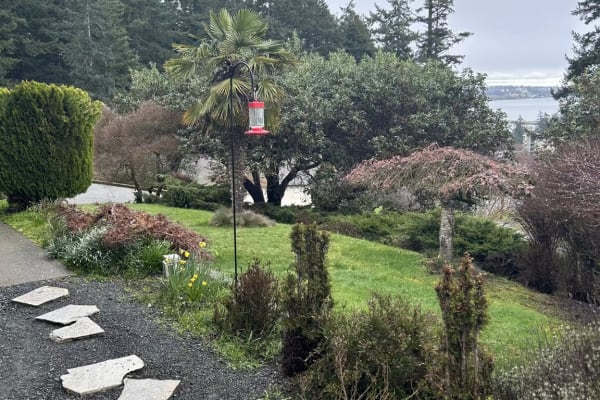 House sit in Colwood, BC, Canada