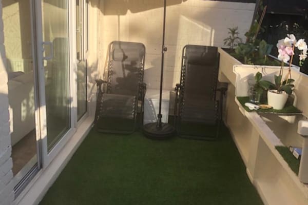 House sit in London, United Kingdom