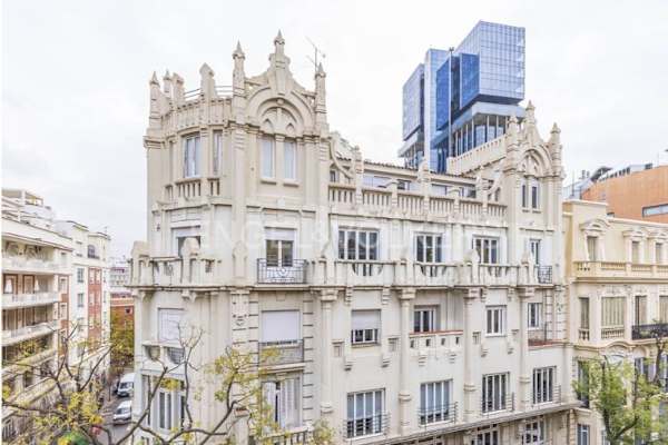 House sit in Madrid, Spain