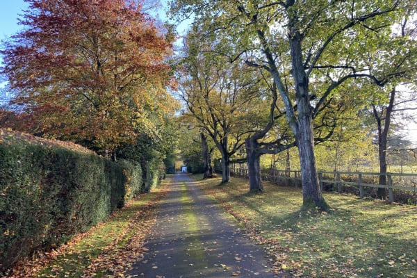 House sit in Newbury, United Kingdom