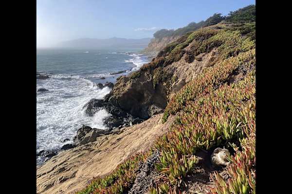 House sit in San Luis Obispo, CA, US