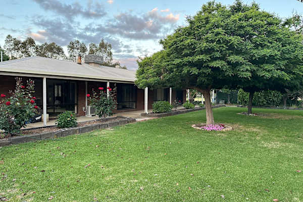 House sit in Avoca, VIC, Australia