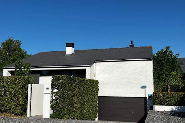 House sit in Merchtem, Belgium