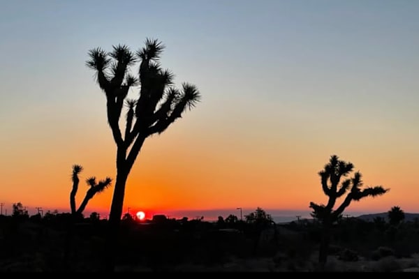 House sit in Joshua Tree, CA, US