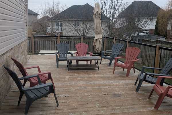 House sit in London, ON, Canada