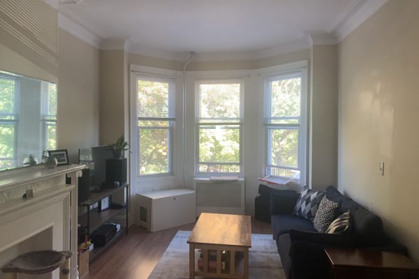 House sit in Brooklyn, NY, US