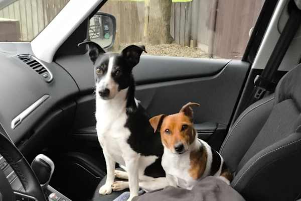 House sit in Saint-Julien-de-l’Escap, France