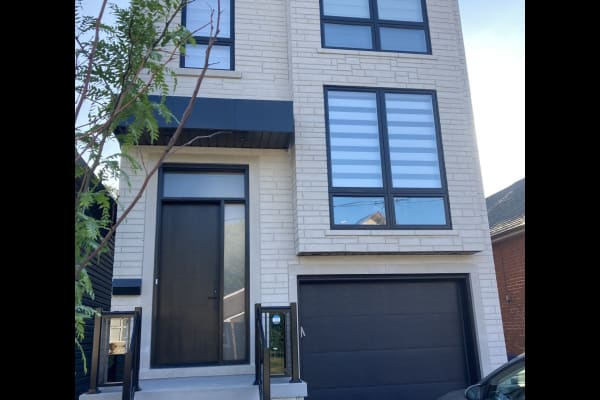 House sit in Toronto, ON, Canada