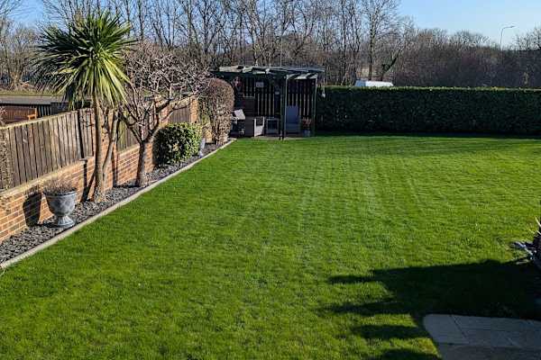 House sit in Durham, United Kingdom