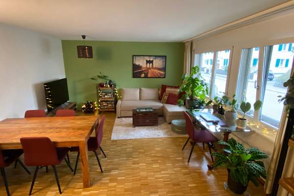 House sit in Zürich, Switzerland