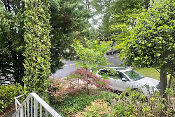 House sit in Bethesda, MD, US