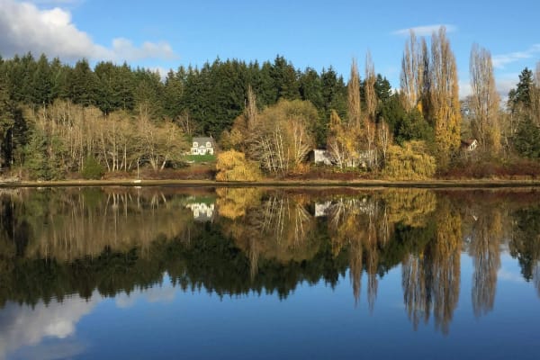 House sit in Bainbridge Island, WA, US