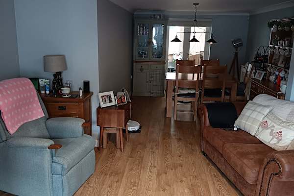 House sit in Taunton, United Kingdom