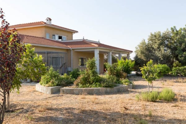 House sit in Alethrikó, Cyprus