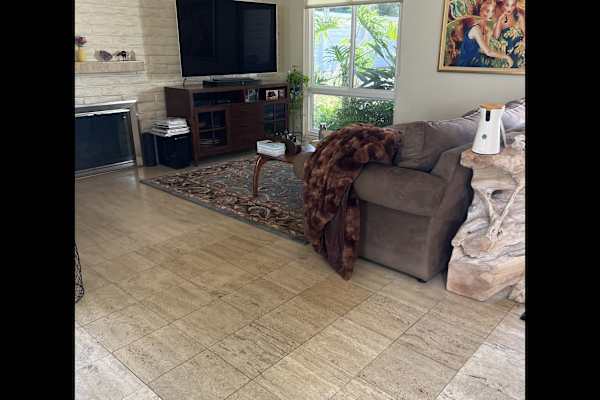 House sit in Encinitas, CA, US