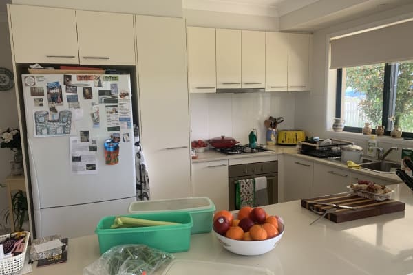 House sit in Canberra, Australian Capital Territory, Australia