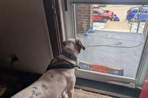 House sit in Pittsburgh, PA, US