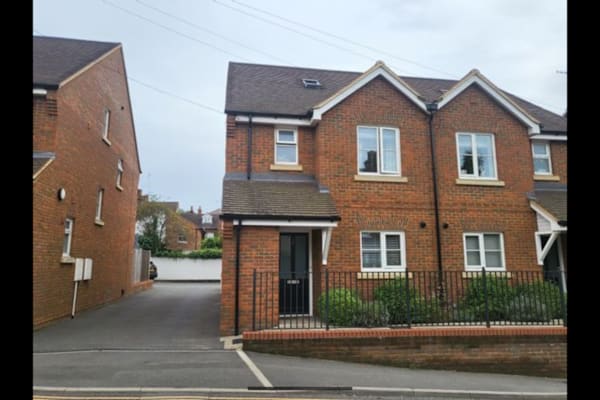 House sit in St Albans, United Kingdom