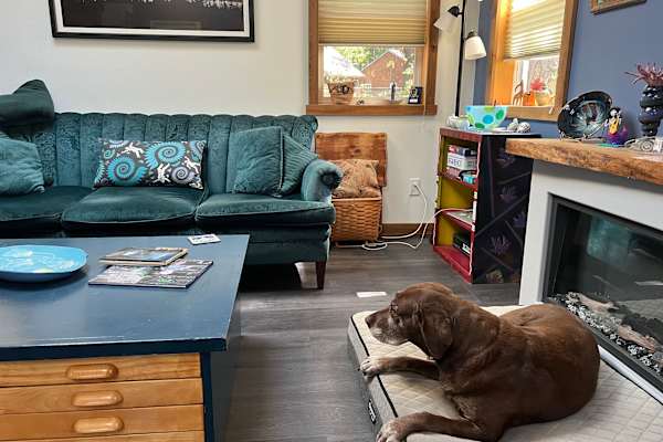 House sit in Port Townsend, WA, US