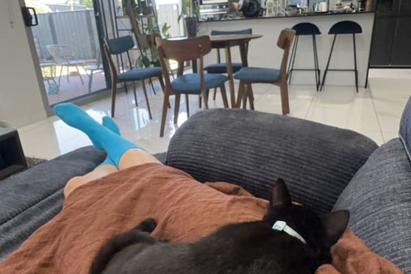 House sit in Palmerston, Northern Territory, Australia