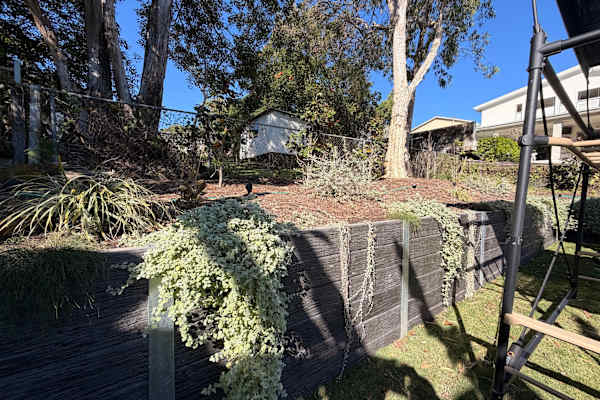 House sit in Brisbane, QLD, Australia