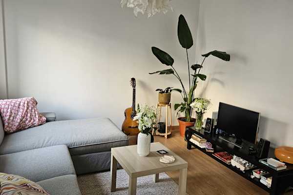 House sit in Lisbon, Portugal