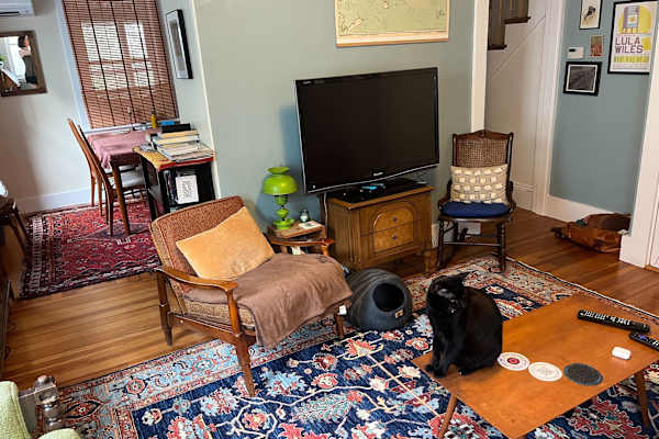 House sit in Arlington, MA, US