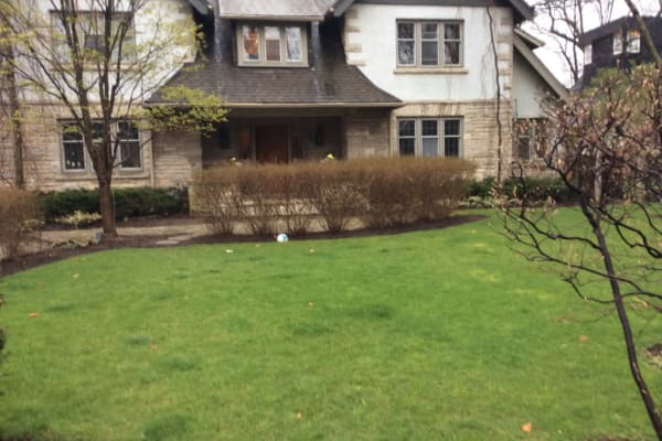 House sit in Toronto, ON, Canada