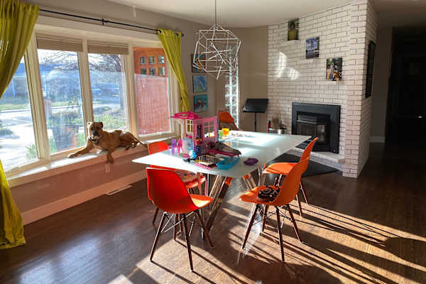 House sit in Boulder, CO, US