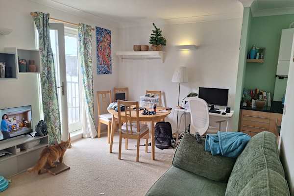 House sit in Brighton, United Kingdom