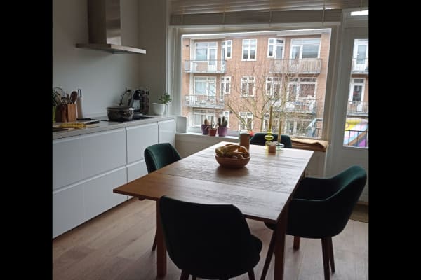 House sit in Amsterdam, Netherlands