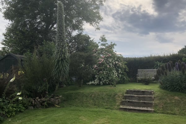 House sit in Falmouth, United Kingdom