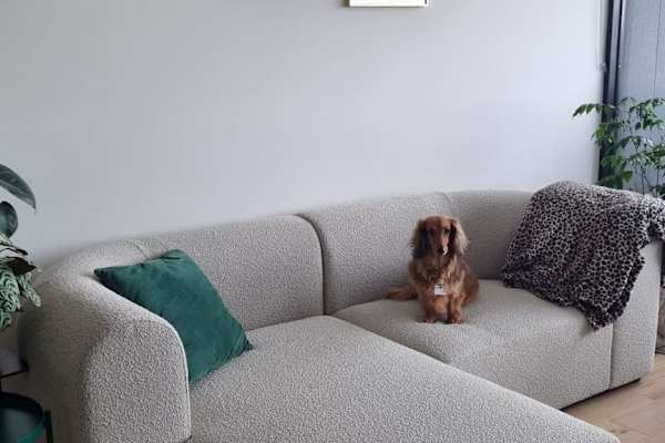House sit in Melbourne, VIC, Australia
