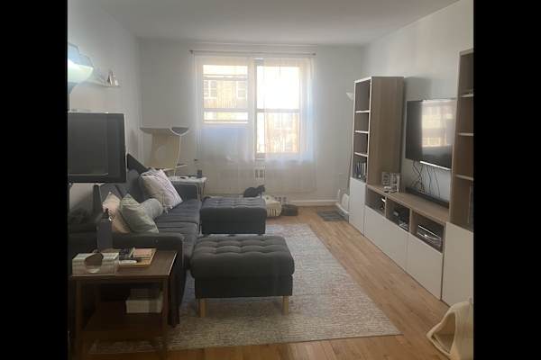 House sit in Borough of Queens, NY, US