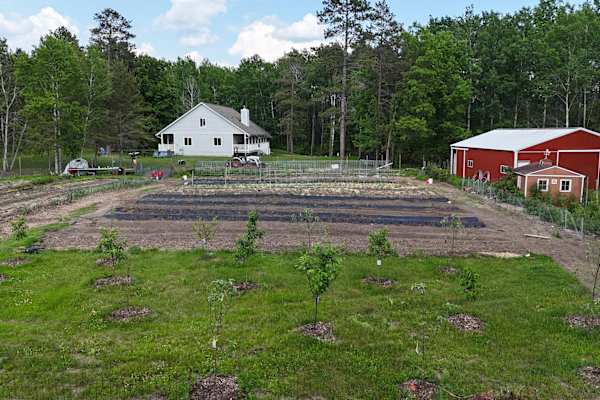 House sit in Bemidji, MN, US