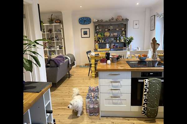 House sit in London, United Kingdom