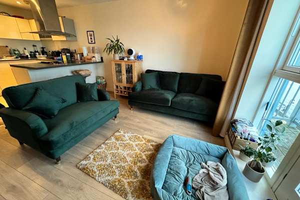 House sit in Chatham, United Kingdom