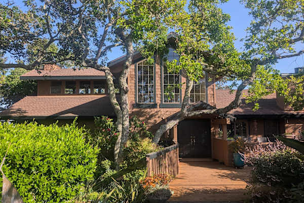 House sit in Novato, CA, US