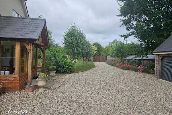 House sit in Reading, United Kingdom