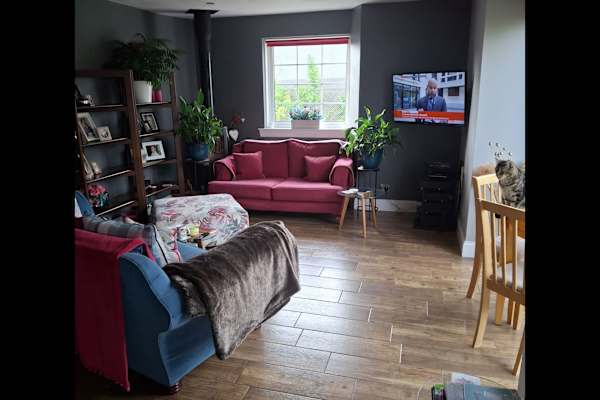 House sit in Dunfermline, United Kingdom